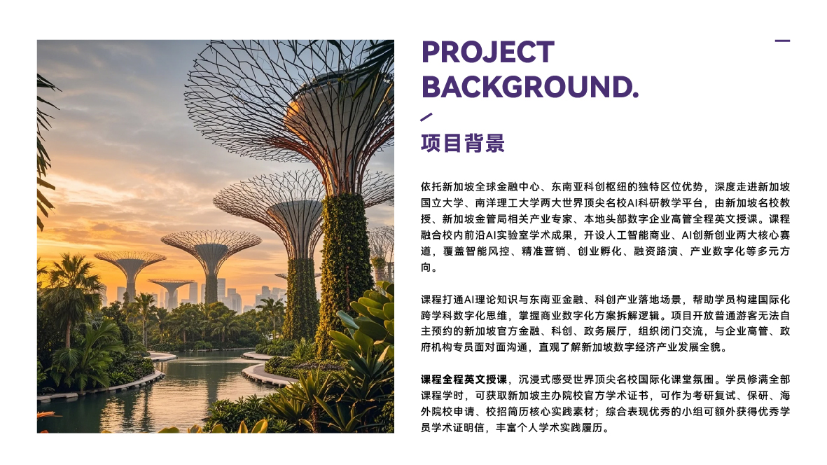 2027寒假新加坡名校访学实践项目-06.jpg
